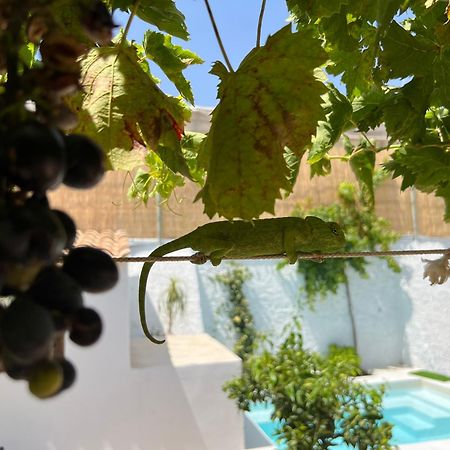 El Majuelo 2 Βίλα Níjar Εξωτερικό φωτογραφία